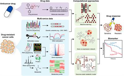 Omics and Computational Modeling Approaches for the Effective Treatment of Drug-Resistant Cancer Cells